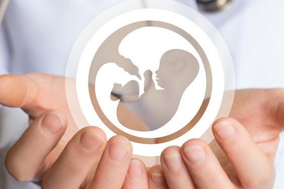 “Embriyo Yapıştırıcısı” Yöntemi Hamile Kalma Şansını Dörtte Bir Oranında Artırıyor